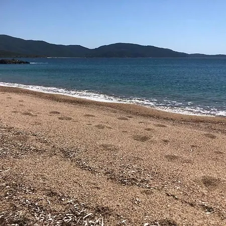 Rez De - Et Montagne -piscine Et Jacuzzi Olmeto (Corsica)